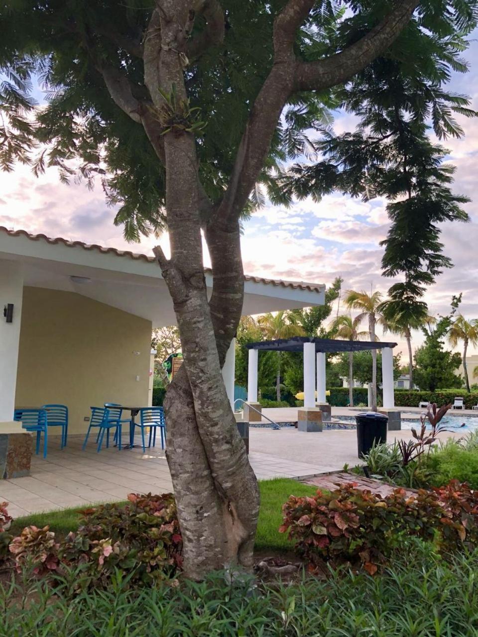 Aquatika Paraiso Tropical Loiza Экстерьер фото
