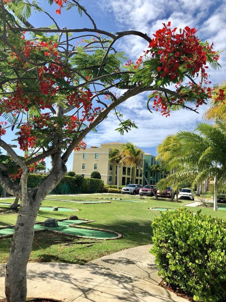 Aquatika Paraiso Tropical Loiza Экстерьер фото
